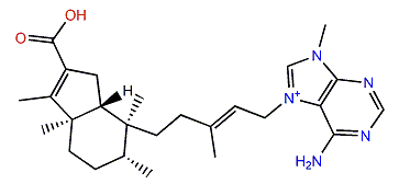 Agelamasine A